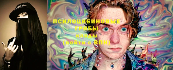 мяу мяу мука Беломорск