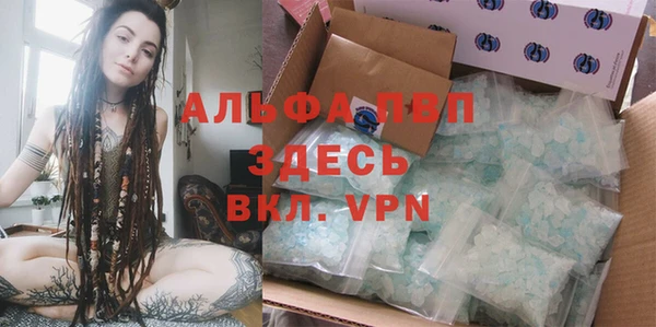 ешки Белокуриха