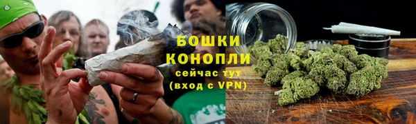 ешки Белокуриха